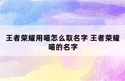 王者荣耀用喵怎么取名字 王者荣耀喵的名字